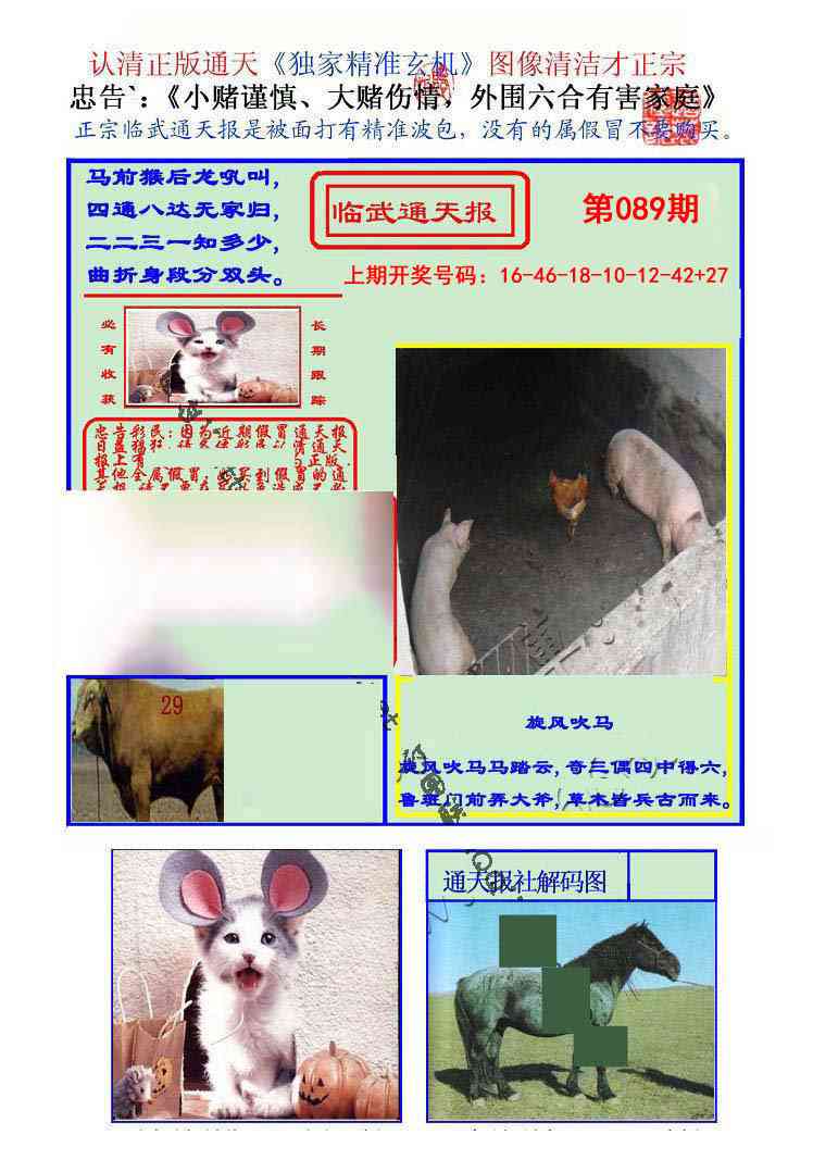 089期临武通天报[图]